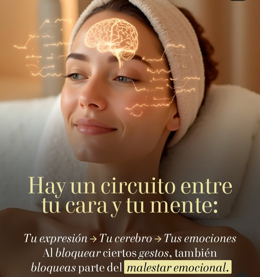 Reducción de arrugas tercio superior rostro frente, entrecejo y "patas de gallo"